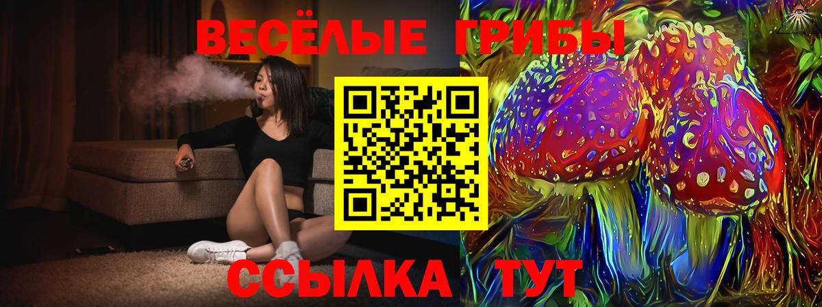 Псилоцибиновые грибы Psilocybe  Галлюциногенные грибы GOLDEN TEACHER  Ростов Великий  Вход с VPN 